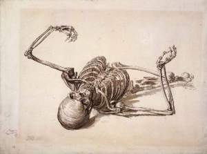 skeleton2