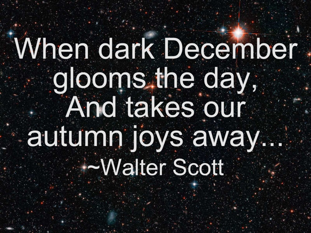 Scott--Dark_December